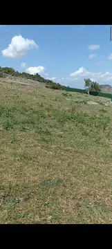 advert_260504_181840_5381.jpg