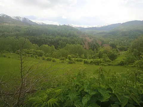 advert_260602_142221_4646.jpg