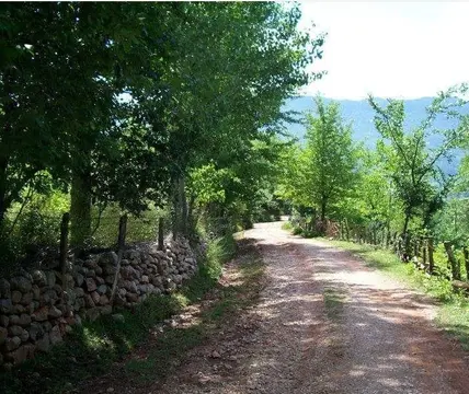 https://cdn.ilanlar.com/images/l1/l2/{width}/{height}/30012154_1781357075589516230.png