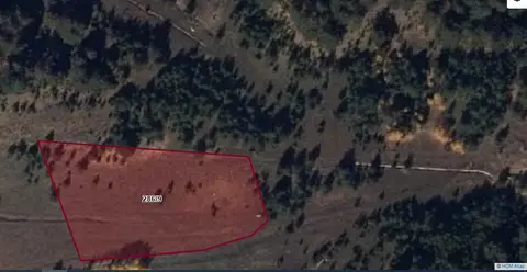 Giresun Alucra Fevzi Çakmak, Fatih Mahallesi 3.932 m² satılık çiftlik arsa - Fotoğraf 2