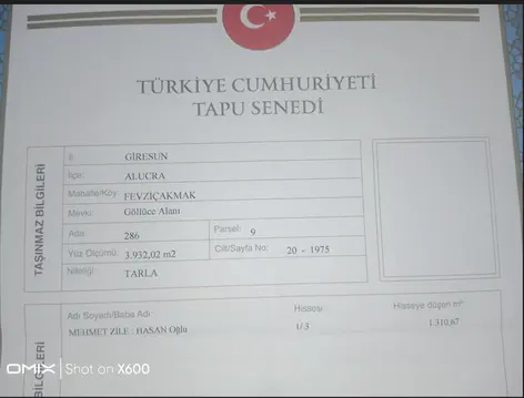 Giresun Alucra Fevzi Çakmak, Fatih Mahallesi 3.932 m² satılık çiftlik arsa - Fotoğraf 3