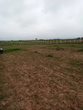 Tekirdağ Saray Kurtdere Mahallesi 1.960 m² satılık tarla arsa - Fotoğraf 2