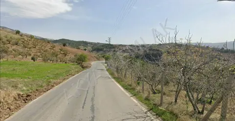 Kahramanmaraş Dulkadiroğlu Peynirdere Mahallesi 8.000 m² satılık bağ & Bahçe arsa - Fotoğraf 3