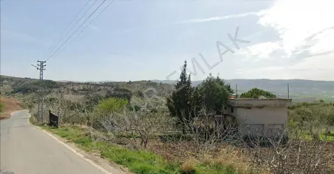 Kahramanmaraş Dulkadiroğlu Peynirdere Mahallesi 8.000 m² satılık bağ & Bahçe arsa - Fotoğraf 2