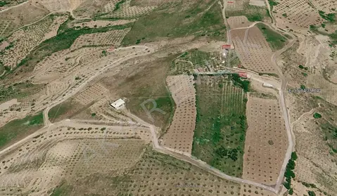 Kahramanmaraş Dulkadiroğlu Akyar Mahallesi 4.760 m² satılık bağ & Bahçe arsa - Fotoğraf 1