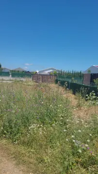 advert_260704_081215_7193.jpg