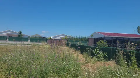 advert_260704_081216_3561.jpg