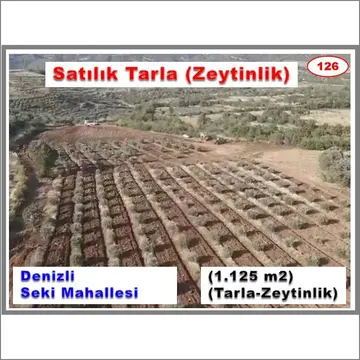 Denizli Tavas Seki Mahallesi 11.225 m² satılık tarla arsa - Fotoğraf 1