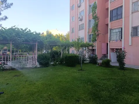 advert_260706_195339_6243.jpg