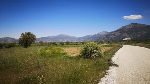 advert_260707_011745_1392.jpg