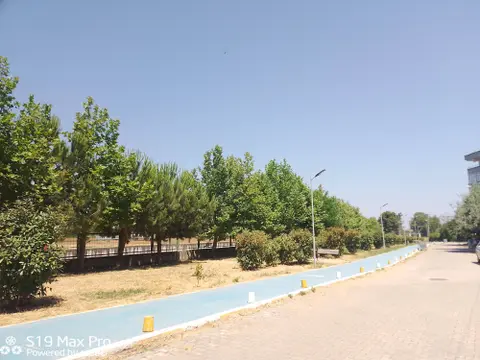 advert_260708_183047_9277.jpg