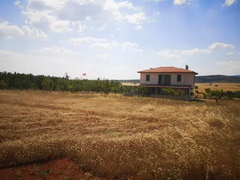 advert_260709_013407_9699.jpg
