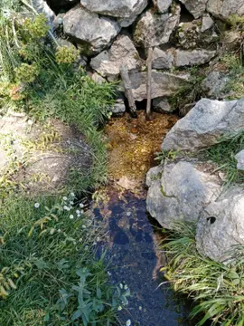 https://cdn.ilanlar.com/images/l1/l2/{width}/{height}/30013268_1783606879252499182.jpg