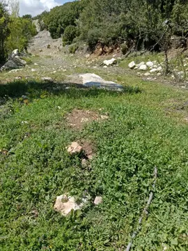https://cdn.ilanlar.com/images/l1/l2/{width}/{height}/30013268_1783606885118596643.jpg