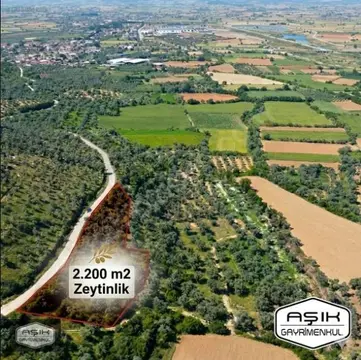 https://cdn.ilanlar.com/images/l1/l2/{width}/{height}/30013404_1783950561419520447.jpg