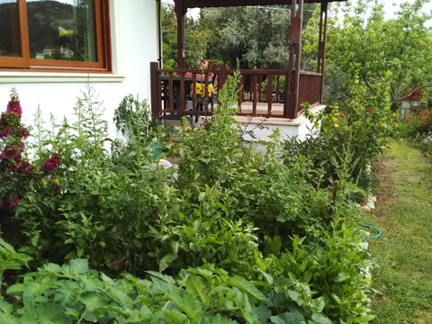 advert_260718_141444_8896.jpg