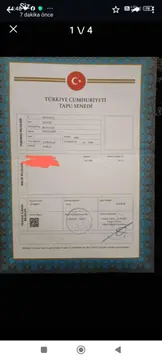 advert_260723_155656_6368.jpg
