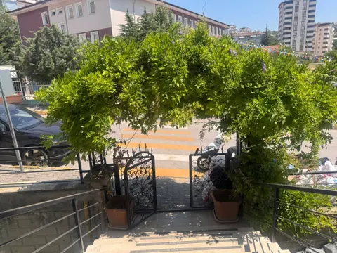 https://cdn.ilanlar.com/images/l1/l2/{width}/{height}/30013782_1784818887759128810.jpg