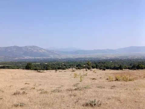 advert_260728_230649_7659.jpg
