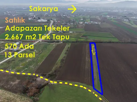 Sakarya Adapazarı Tekeler Mahallesi 2.670 m² satılık tarla arsa - Fotoğraf 1