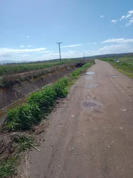 Bursa Karacabey Sultaniye Mahallesi 561 m² satılık bağ & Bahçe arsa - Fotoğraf 2