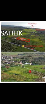 Çanakkale Ezine Çamoba Köyü Mahallesi 4.000 m² satılık tarla arsa - Fotoğraf 2