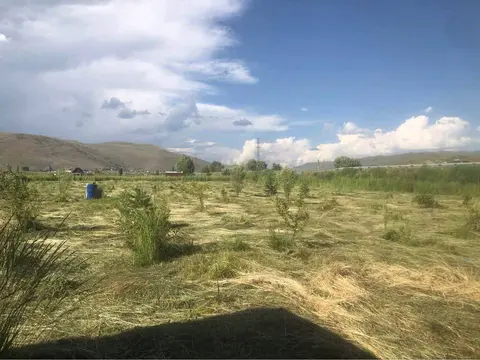 Erzurum Yakutiye Akdağ Mahallesi 3.330 m² satılık tarla arsa - Fotoğraf 3