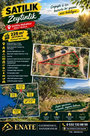 Muğla Milas Şenköy Mahallesi 228 m² satılık zeytinlik arsa - Fotoğraf 1