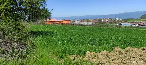 Bursa İznik Derbent Mahallesi 1.420 m² satılık - Fotoğraf 1