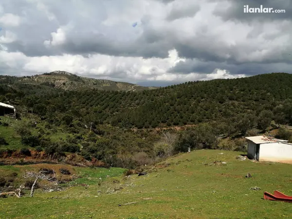 Balıkesir Havran Kalabak Mahallesi 1.601 m² satılık - Fotoğraf 1