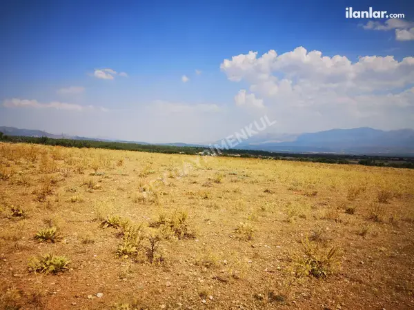 Denizli Tavas Vakıf Mahallesi 29.744 m² satılık - Fotoğraf 1
