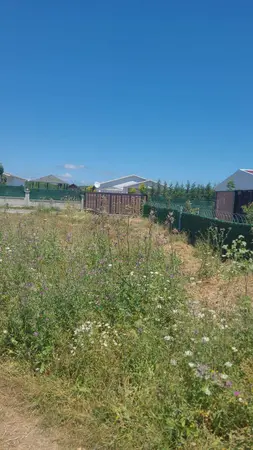 advert_260704_081215_7193.jpg