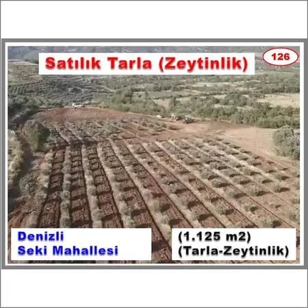 Denizli Tavas Seki Mahallesi 11.225 m² satılık - Fotoğraf 1