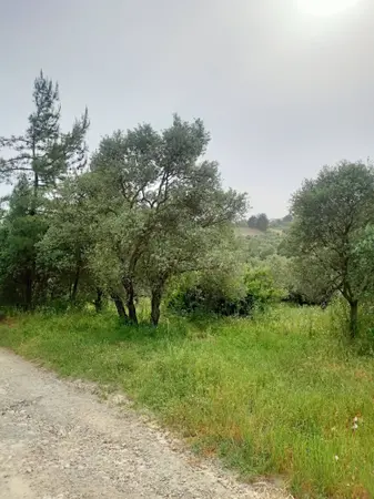 advert_260729_190339_9557.jpg