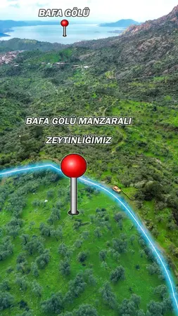 Muğla Milas Karahayıt Mahallesi 4.428 m² satılık - Fotoğraf 1