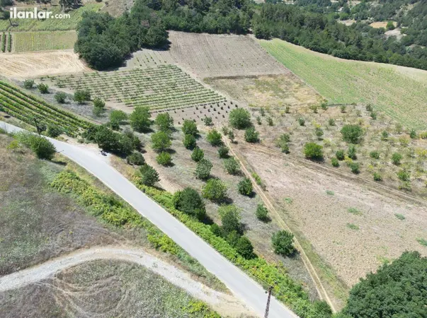 Sakarya Geyve Çukurköy Mahallesi 24.000 m² satılık - Fotoğraf 1