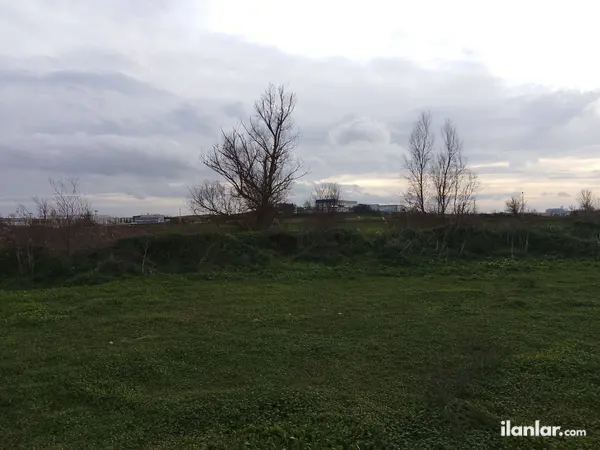Tekirdağ Saray Beyazköy Mahallesi 247 m² satılık - Fotoğraf 1