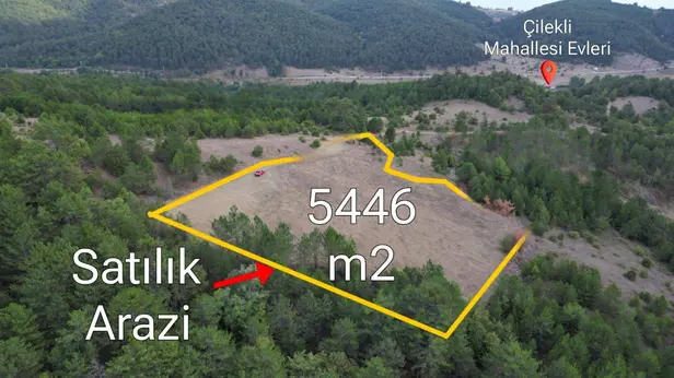 Sakarya Pamukova Çilekli Mahallesi 5.446 m² satılık - Fotoğraf 1