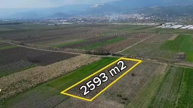 Sakarya Pamukova Cihadiye Mahallesi 2.593 m² kiralık tarla arsa - Fotoğraf 1
