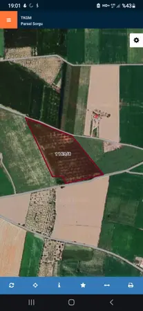 Kayseri Yeşilhisar Mahmudiye Mahallesi 17.000 m² satılık - Fotoğraf 1
