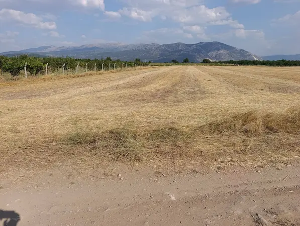 Denizli Tavas Kızılcabölük Mahallesi 12.047 m² satılık - Fotoğraf 1
