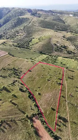 Manisa Kula Gökçeören Mahallesi 22.470 m² satılık - Fotoğraf 1