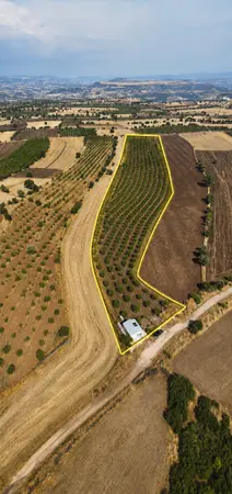 Manisa Kula İbrahimağa Mahallesi 34.900 m² satılık - Fotoğraf 1