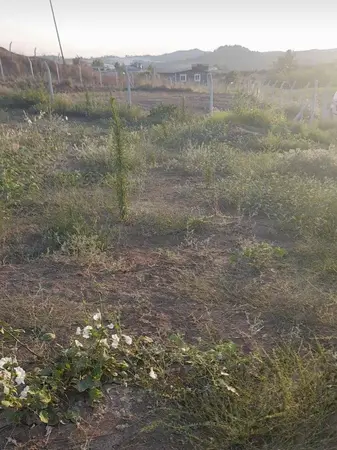 Adana Karaisalı Topaktaş Mahallesi 845 m² satılık - Fotoğraf 1