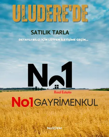 Eskişehir Tepebaşı Uludere Mahallesi 12.600 m² satılık - Fotoğraf 1