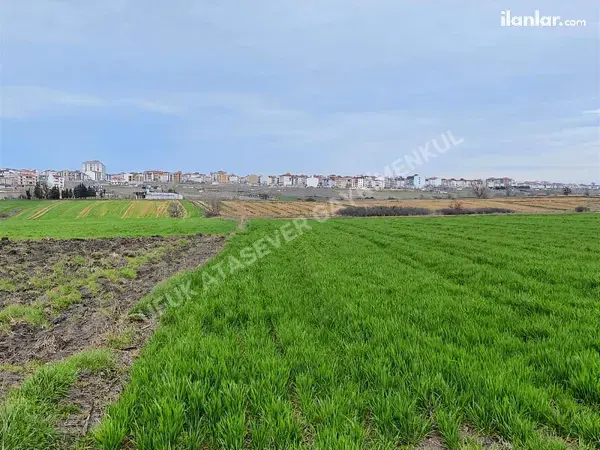 Tekirdağ Kapaklı Pınarca Mahallesi 725 m² satılık - Fotoğraf 1