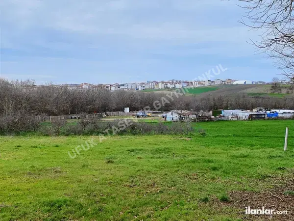 Tekirdağ Çerkezköy Bağlık Mahallesi 1.253 m² satılık - Fotoğraf 1