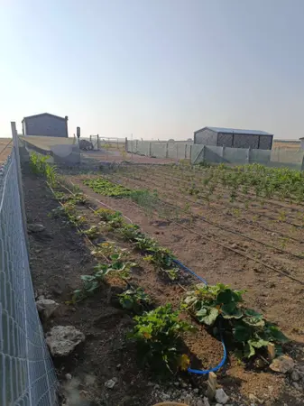 Eskişehir Odunpazarı Doğankaya Mahallesi 250 m² satılık - Fotoğraf 1