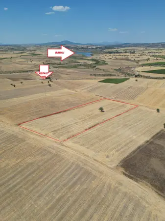 Denizli Tavas Vakıf Mahallesi 16.405 m² satılık - Fotoğraf 1