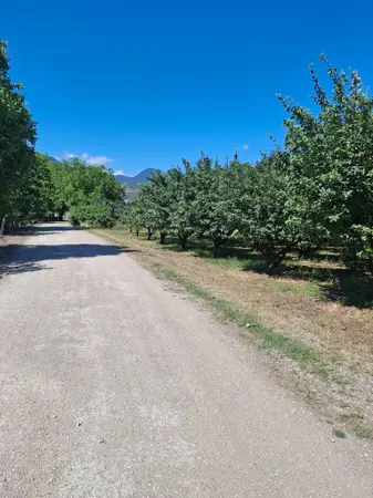Sakarya Pamukova Yenice Mahallesi 4.840 m² satılık - Fotoğraf 1